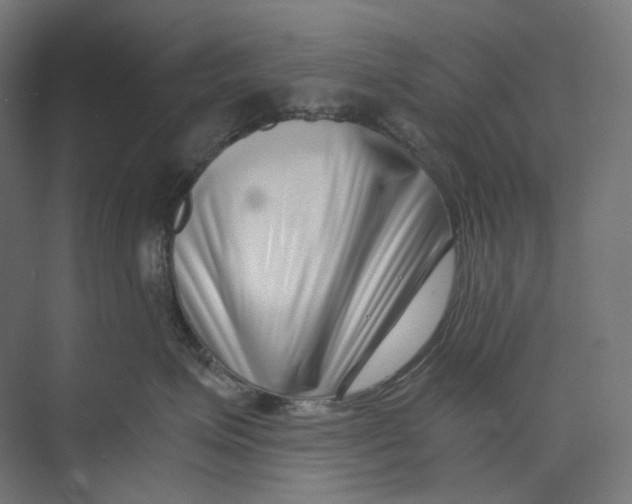 X0000073860623200609071635