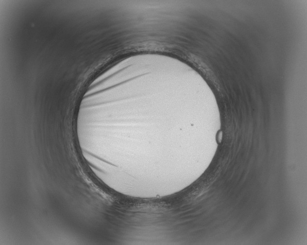 X0000073860625200609071634