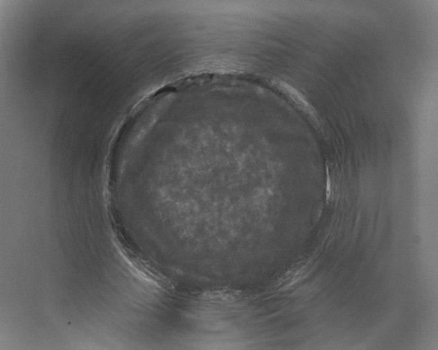 X0000073860627200609071634