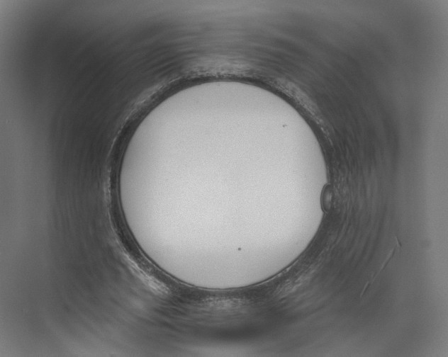 X0000073860629200609071634