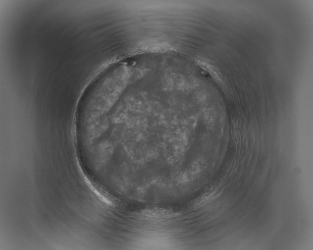 X0000073860630200609071634