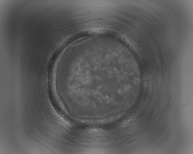 X0000073860637200609071634