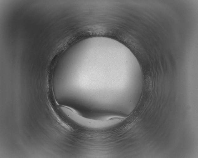 X0000073860638200609071634