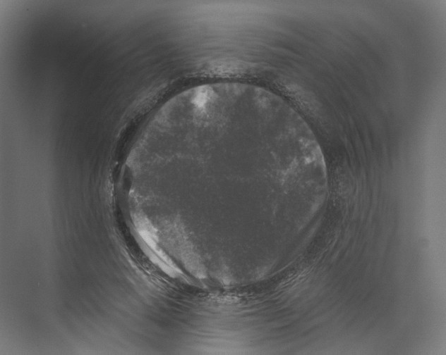 X0000073860640200609071634