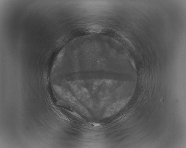 X0000073860641200609071634