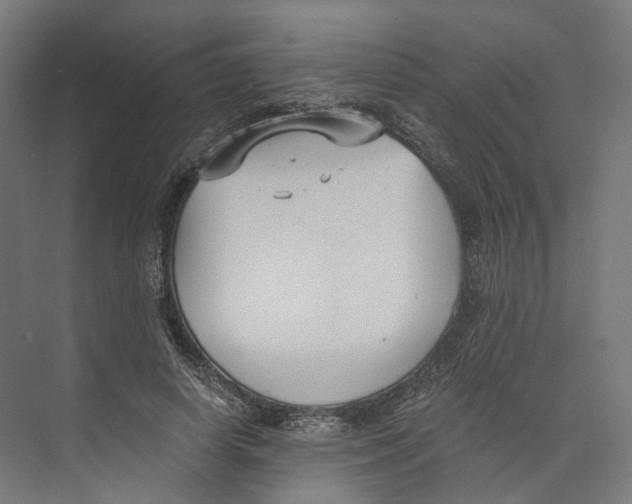 X0000073860642200609071634