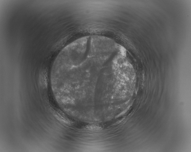 X0000073860644200609071634