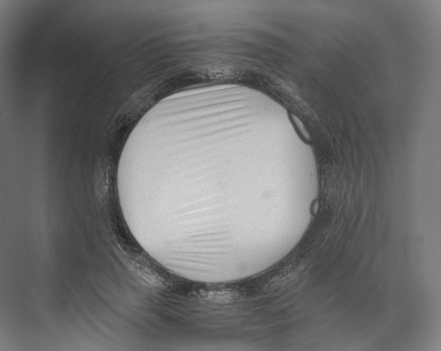 X0000073860645200609071634