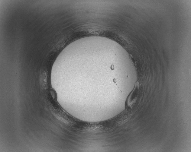 X0000073860646200609071634