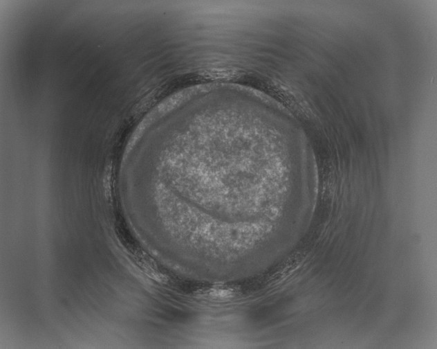 X0000073860647200609071634