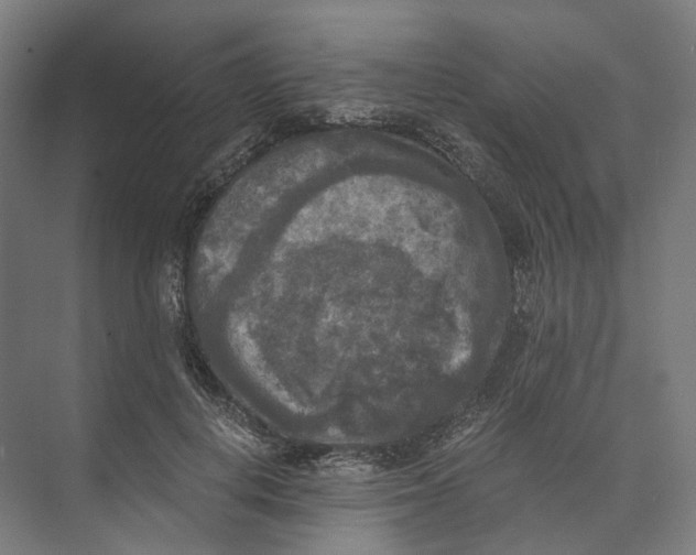 X0000073860648200609071634