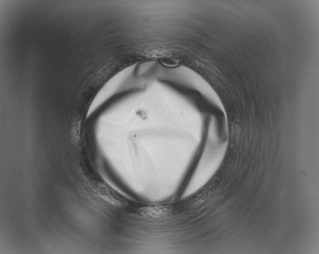 X0000073860652200609071634