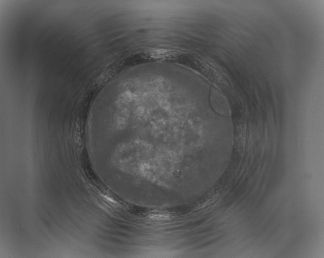 X0000073860653200609071634