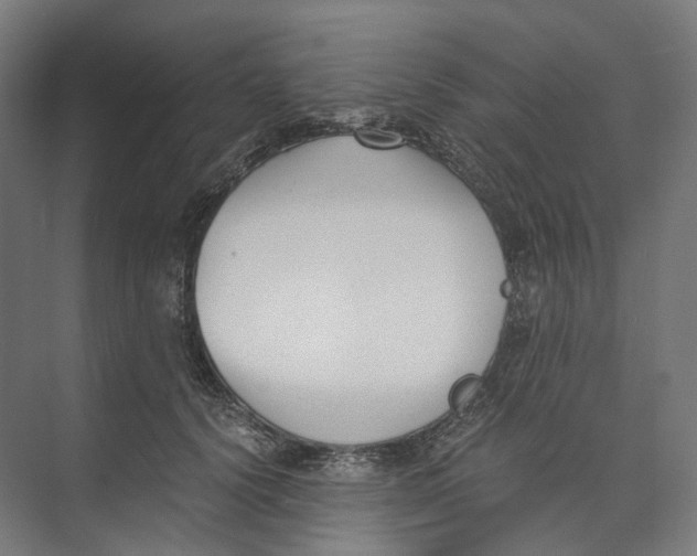 X0000073860656200609071634