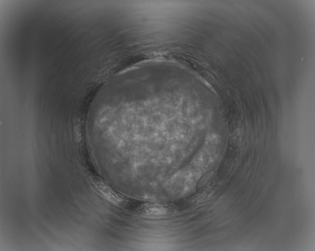 X0000073860658200609071634