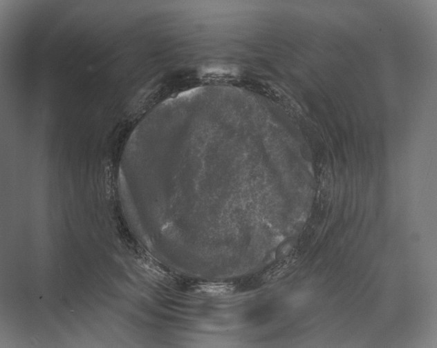 X0000073860659200609071634