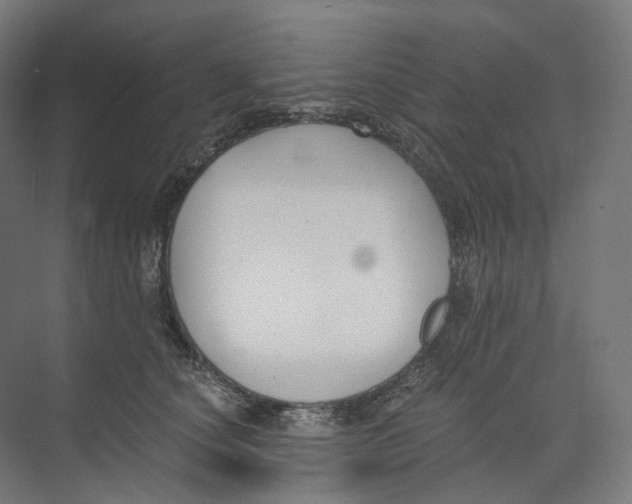 X0000073860660200609071634