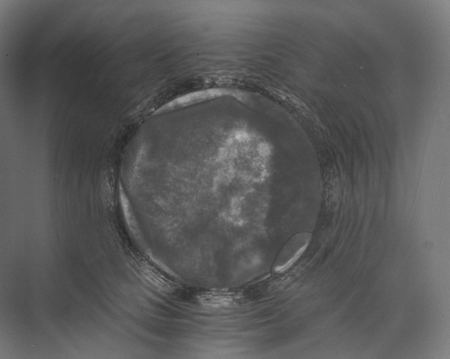 X0000073860661200609071634