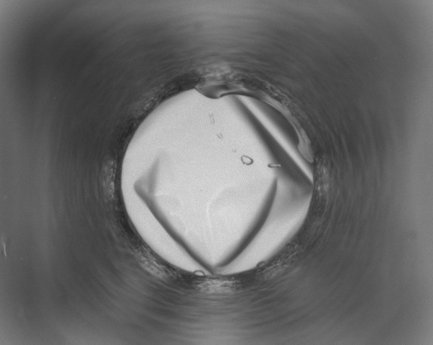 X0000073860664200609071634