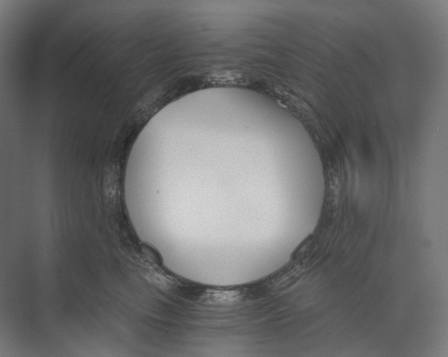 X0000073860665200609071634