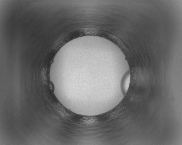 X0000073860667200609071634