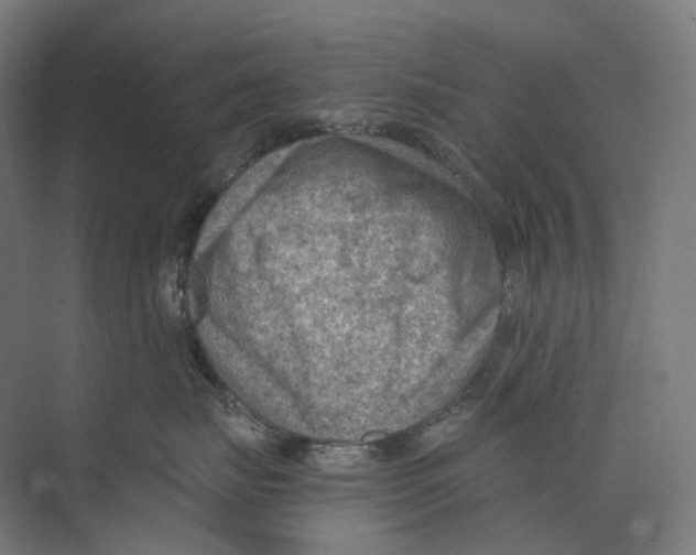 X0000073860671200609071634