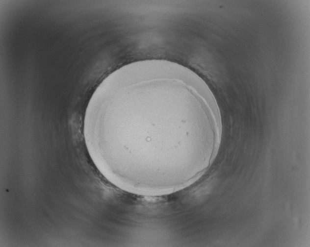 X0000073860672200609071634