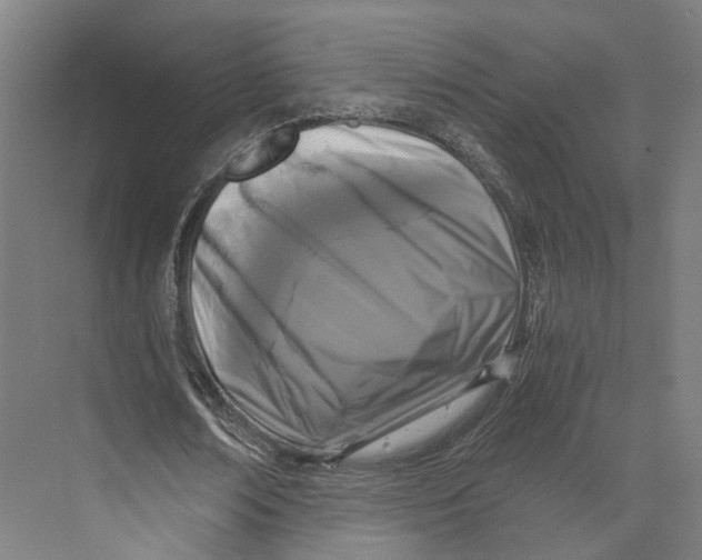 X0000073860674200609071634