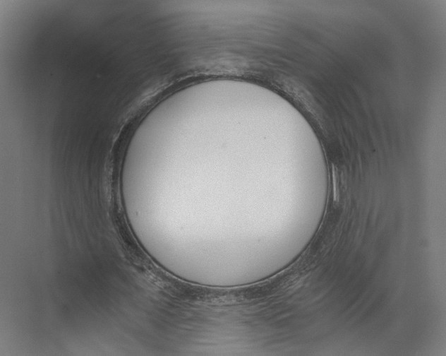 X0000073860675200609071634