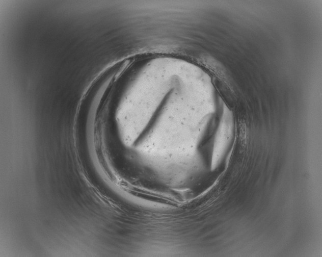 X0000073860676200609071634