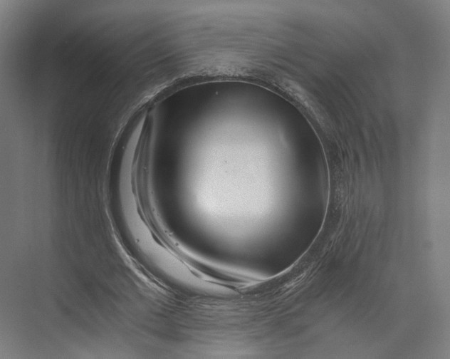 X0000073860677200609071634