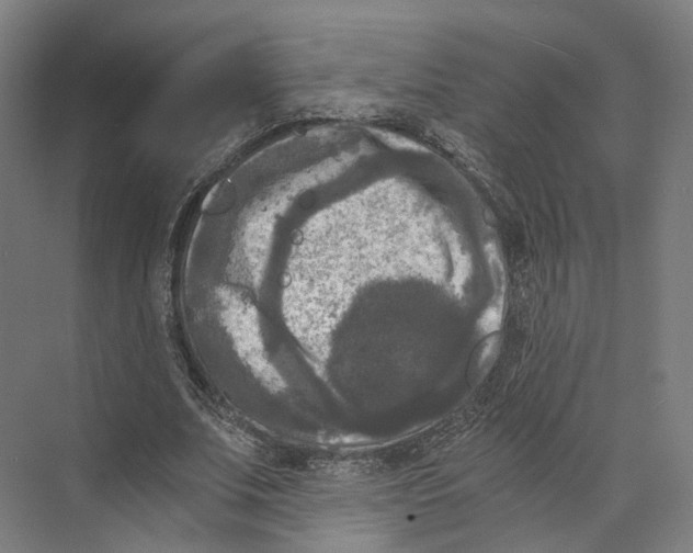 X0000073860679200609071634