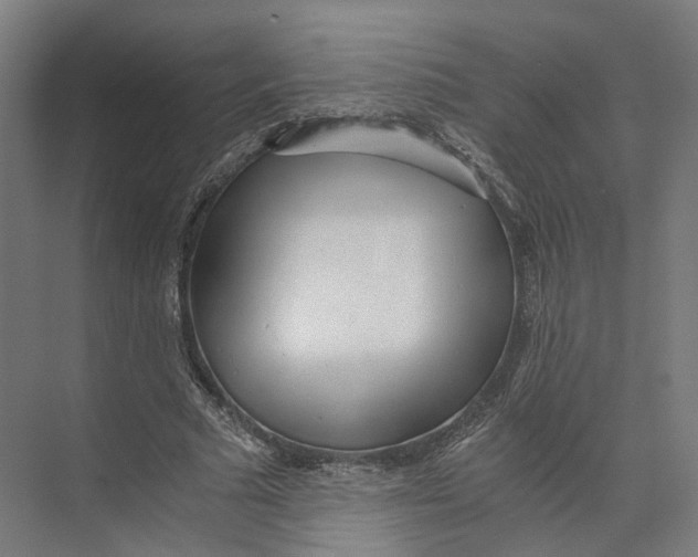 X0000073860681200609071634