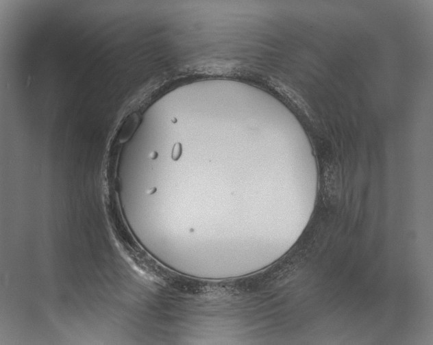 X0000073860682200609071634