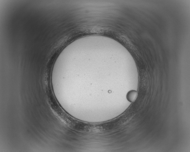 X0000073860683200609071634