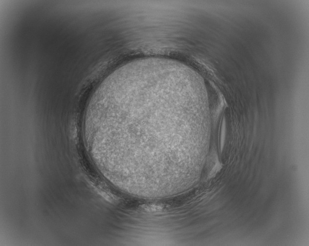 X0000073860687200609071633