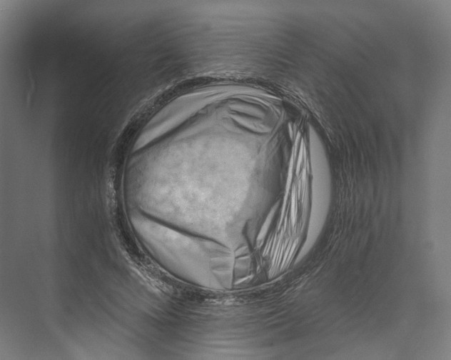 X0000073860688200609071633