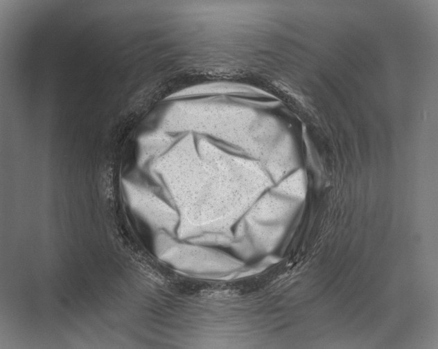 X0000073860689200609071633