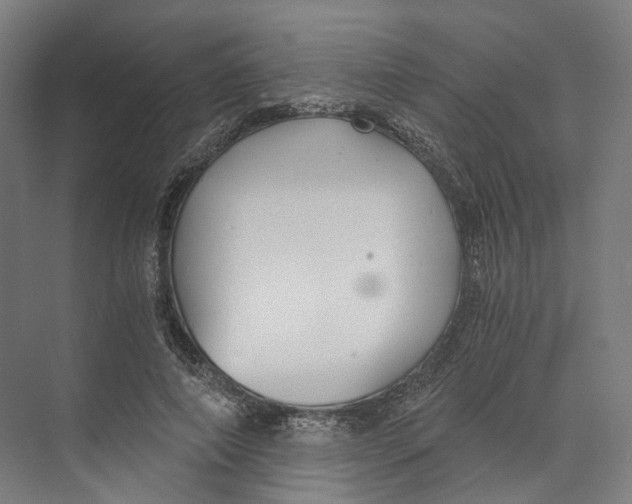 X0000073860690200609071633