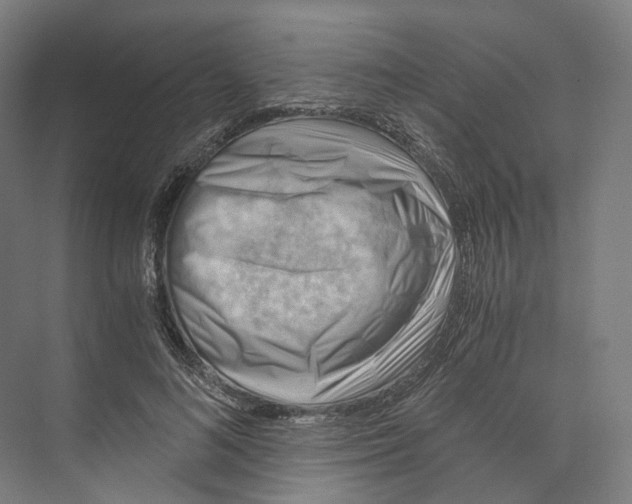 X0000073860692200609071633