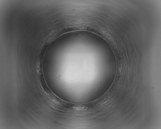 X0000073860693200609071633