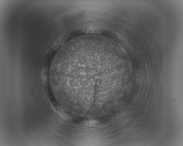 X0000073860695200609071633