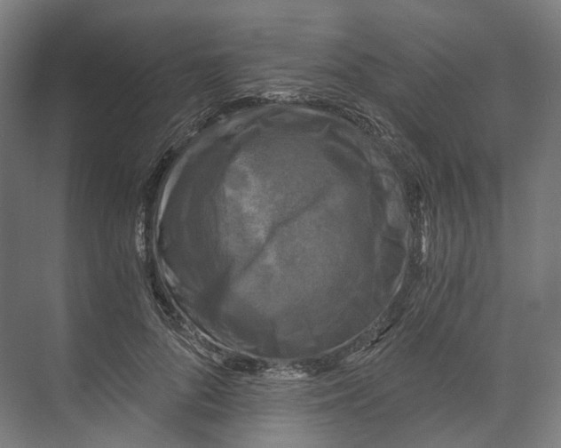 X0000073860696200609071633