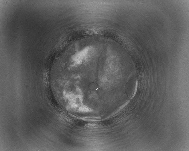 X0000073860699200609071633