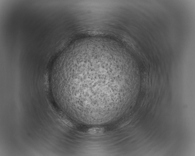 X0000073860700200609071633