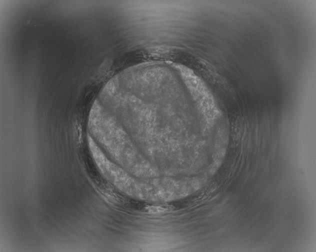 X0000073860703200609071633