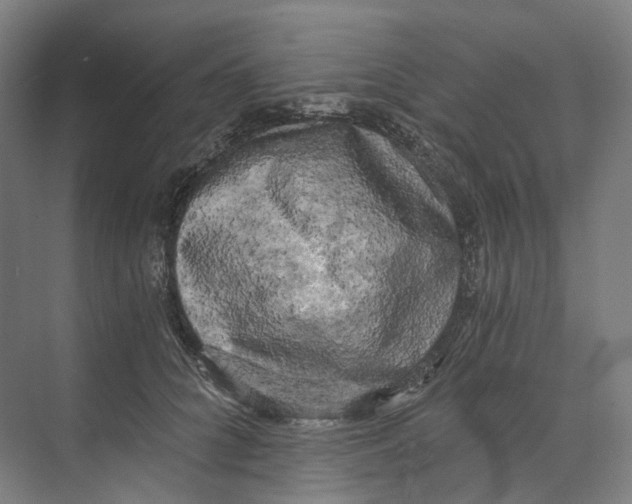 X0000073860704200609071633