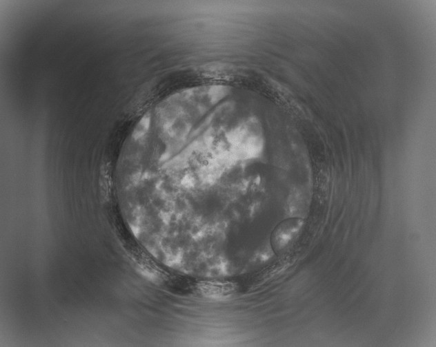 X0000073860707200609071633