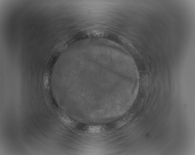 X0000073860709200609071633