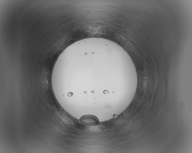 X0000073860710200609071633